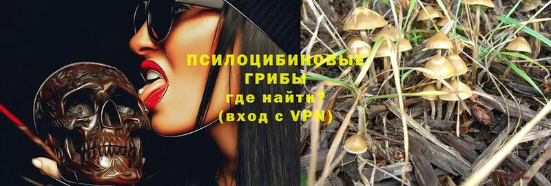 shop клад  Неман  Псилоцибиновые грибы MAGIC MUSHROOMS  МЕГА зеркало 